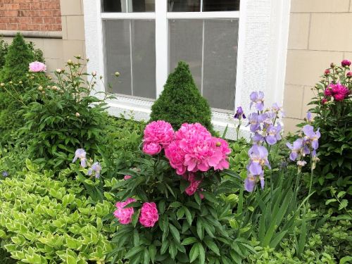 4662 Lamon Ave, Chicago IL 45740-2033 exterior