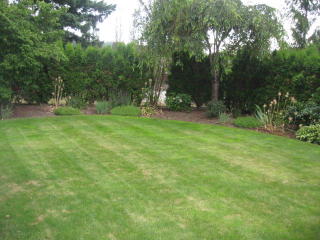 1226 207th St, Bothell, WA 98012-7754