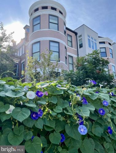 2725 13th St, Washington DC  20018-3902 exterior