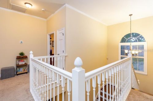 15704 Mifflin Ct, Tampa FL exterior