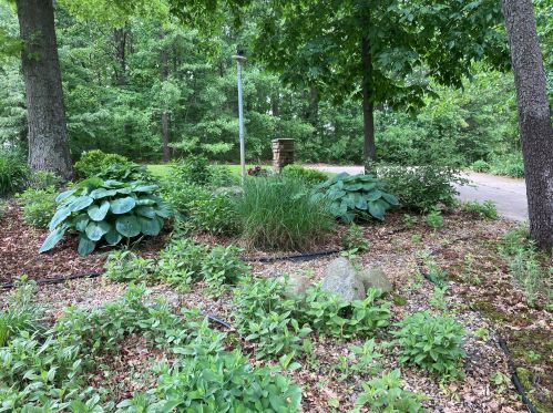 1811 Starr View Ln, Middlevle MI  49333-8066 exterior