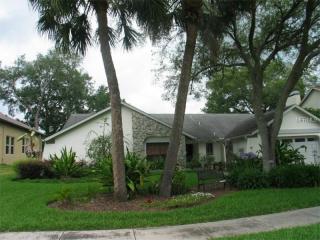 1059 Sylvia Ln, Tampa, FL 33613-2005
