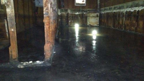 1009 Marquette Rd, Chicago IL 60621-1217 exterior