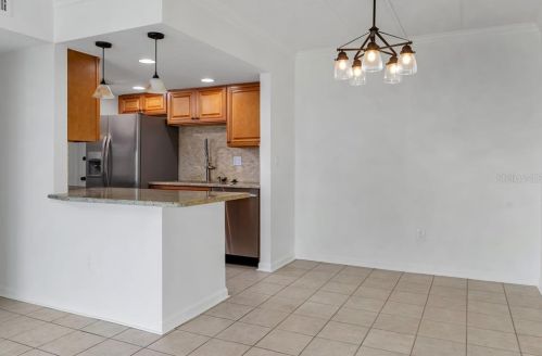 3325 Bayshore Blvd, Tampa FL  33629-8876 exterior