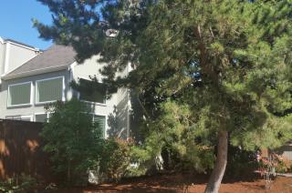 8443 25th Ave, Seattle WA  98106-3233 exterior