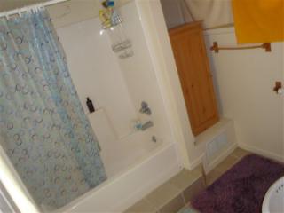 831 Brookwood Pl, Ann Arbor MI  48104-3801 exterior