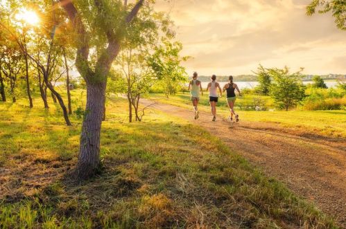 3012 Little Ml, Frisco TX 75056-6606 exterior