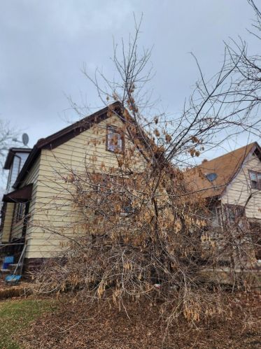 2962 1st St, Milwaukee, WI 53212-2406