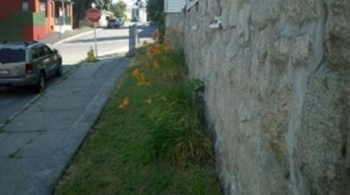 113 Dorchester St, Worcester MA 01604-4417 exterior