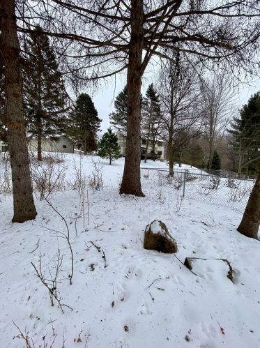 3514 Gln Oaks Ave, Saint Paul MN 55110-5661 exterior