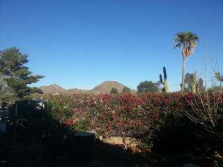 13006 19 Way, Phoenix AZ  85022-1613 exterior