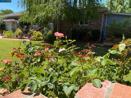 4252 El Cerrito Rd, Concord CA 94518-1812 exterior