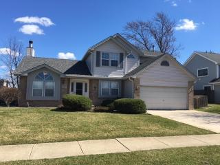 380 Regency Ct, Aurora IL  60504-4028 exterior