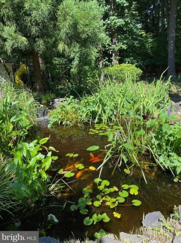 3738 Levy Ln, Huntingdon Valley PA 19006-3108 exterior