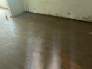 5147 Paulina St, Chicago, IL 60640-2741