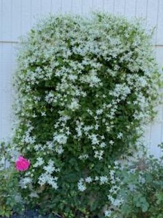 5934 Main St, Maple Plain MN 55359-9359 exterior