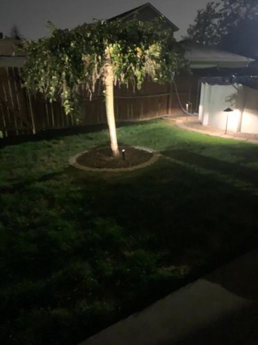 10220 Homan Ave, Chicago IL 60655-3510 exterior