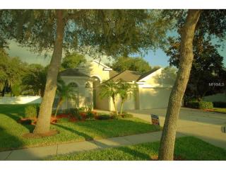 10810 Moss Island Dr, Riverview, FL 33569-2204