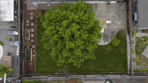 274 Bieber Dr, San Jose CA 95123-3613 exterior