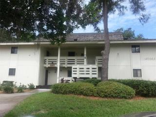 4947 Mill Pond Rd, Zephyrhills FL  33543-4357 exterior