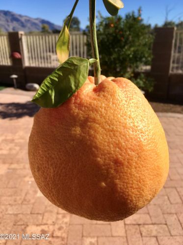 1935 Cholla Vista Dr, Tucson AZ  85704-1089 exterior