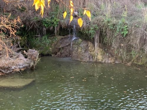 377 Fantail Loop, Austin TX 78734-4862 exterior