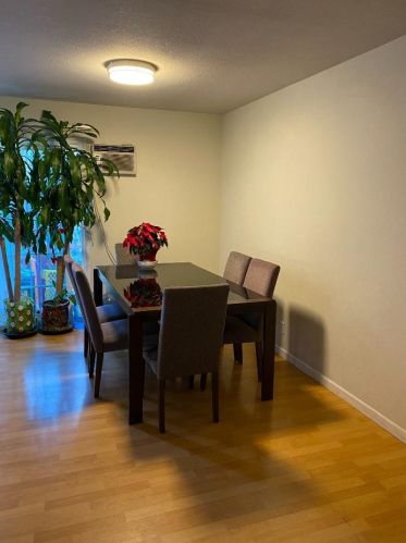 235 El Rancho Verde Dr, San Jose, CA 95116-1513