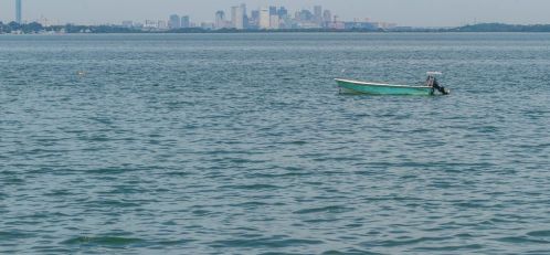 16 Manet Ave, Quincy MA  02169-2908 exterior