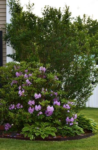 2 Penacook St, Concord NH 03301-3105 exterior