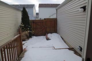 967 Symphony Dr, Aurora IL  60504-5563 exterior