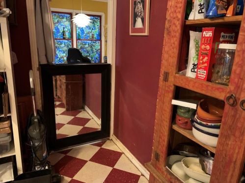 1815 Collier St, Austin TX 78704-2910 exterior