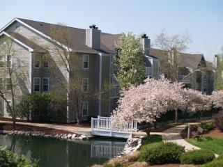 1124 Bonhomme Lake Dr, Saint Louis MO  63132-5301 exterior