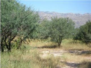 11141 Tanque Verde Rd, Tucson AZ  85749-8524 exterior