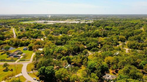 12216 Twin Br Acres Rd, Tampa FL 33626-3711 exterior