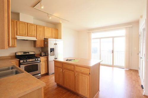 729 Blackhawk St, Chicago IL  60610-1170 exterior