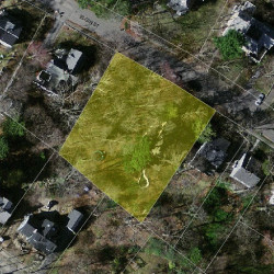 142 Elgin St, Newton MA 02459-2302 aerial view