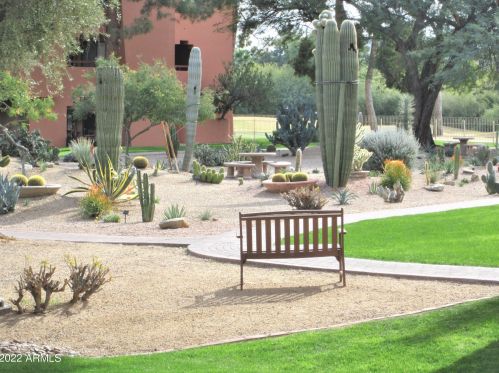 4303 Cactus Rd, Phoenix AZ  85032-7637 exterior