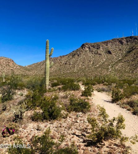 14640 20th St, Phoenix AZ 85006-2086 exterior