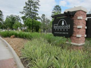 203 Hickory Ridge Dr, Spring TX  77381-1106 exterior