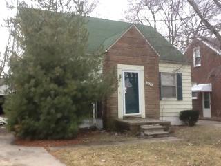 20292 Elkhart St, Detroit MI  48225-2236 exterior