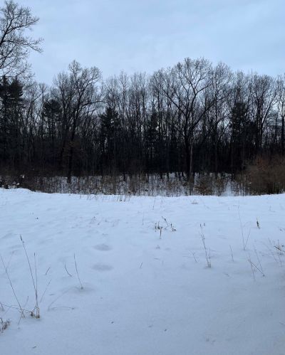 1120 37th St, Allegan MI 49010-8308 exterior