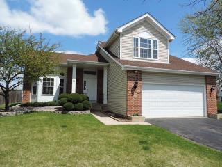 845 Chelsea Ct, Aurora IL  60504-8989 exterior