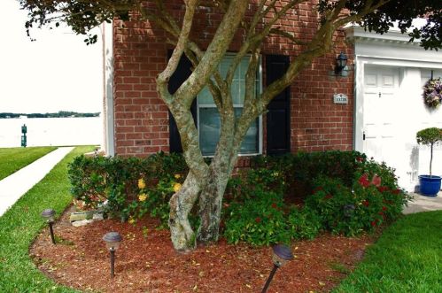 13728 Orange Sunset Dr, Tampa, FL 33618-3334