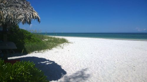 8670 Cedar Hammock Ct, Naples FL exterior