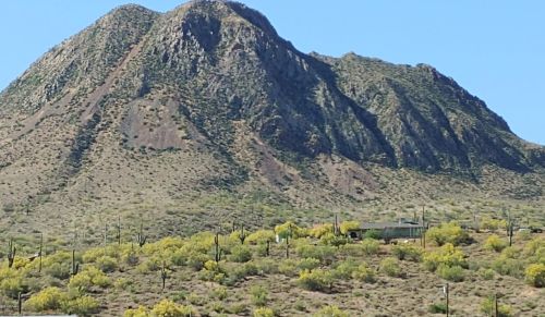 47740 31st Ave, Phoenix, AZ 85087-8112