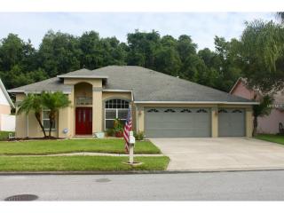 28399 Openfield Loop, Zephyrhills FL  33543-5757 exterior