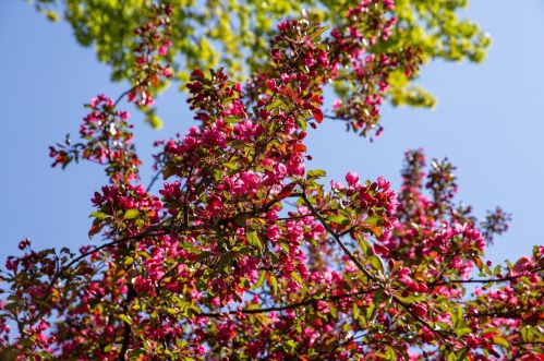 1160 James Ave, Saint Paul MN 55105-2919 exterior