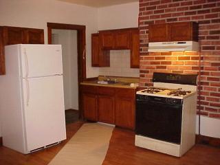 2328 Eccles St, Pittsburgh PA  15210-1866 exterior