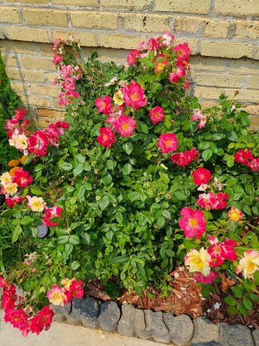 1328 20 St, Manitowoc WI 54220-5643 exterior