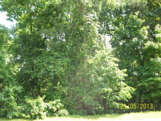 5905 Brookland Dr, Sumter, SC 29154-8654